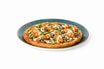 2527 Garlic Parmesan Chicken Pizza